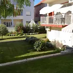 Mini Albizia