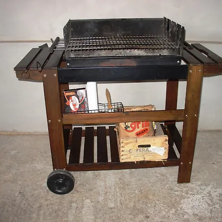 Mini Albizia * Zadar