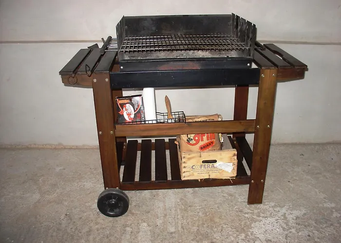 Mini Albizia * Zadar