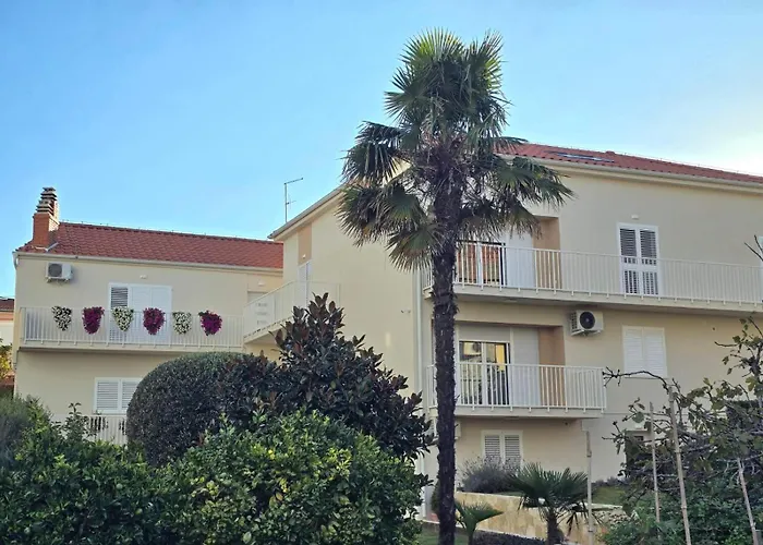 Mini Albizia * Zadar